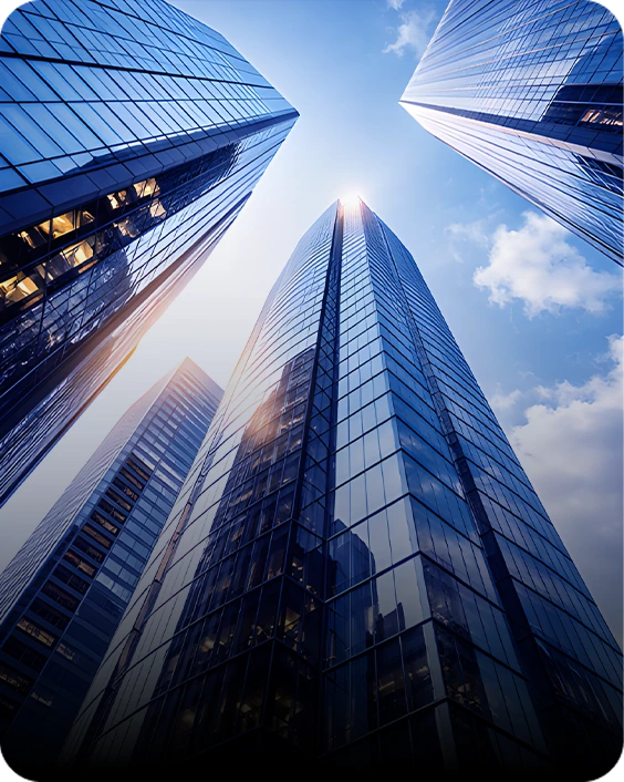 Kurumsal IT Tedarik ve Proje Yönetimi